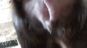 povvideo,animal-porn